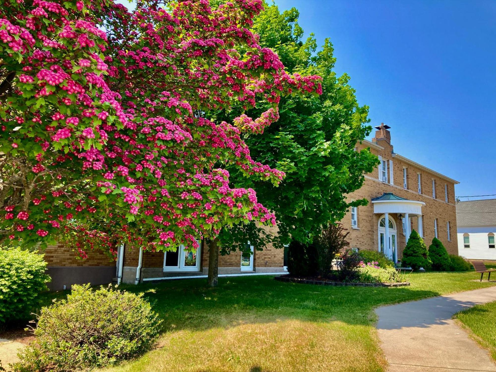 Garden Grove Retreat & Lodging Near Pictured Rocks, Fayette, Trails Exterior foto